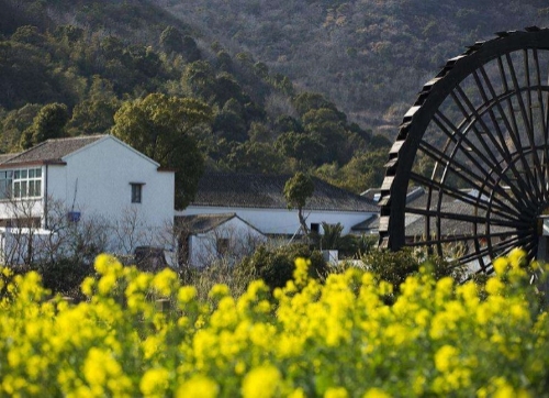 2020年国家将大力发展田园综合体！