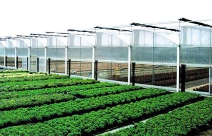 两部门：加大支农投入 加快推进农业农村现代化