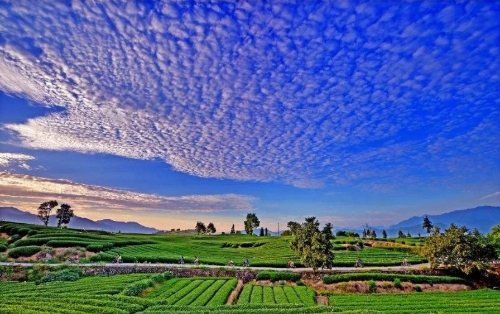 生态产品价值亟待拓展