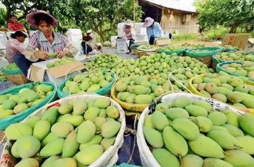 消费扶贫，让“头回客”变“回头客”