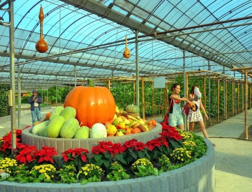 发改委：支持新业态新模式健康发展意见呈现三大特点