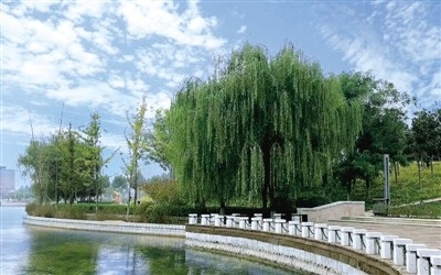 郑州高新区大手笔打造城市绿色地标