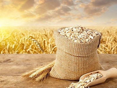 夏粮丰收、产业复苏、投资增长 广袤乡村注入新动能