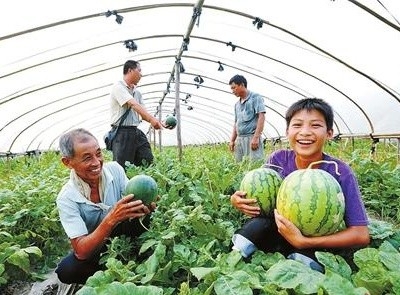  西宁扶贫产业发展实现“五个全覆盖”