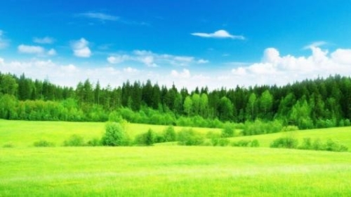 信息技术发展司参加2020中国大数据产业生态大会