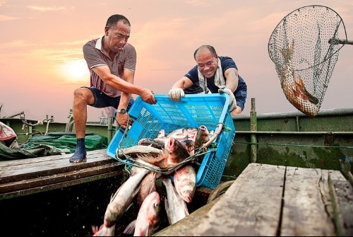 无锡新安：从“樵村渔浦”到“生态花园、产业乐园、绿色游园”的美丽蜕变