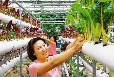 荔浦绿色产业助力贫困户增收