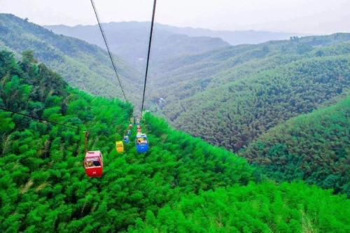 打造万亿元林业绿色产业 建设现代林业强区