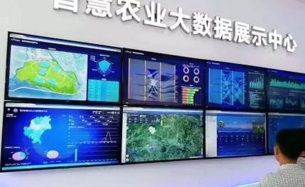 “AI+劳模”探索数字农业新路径