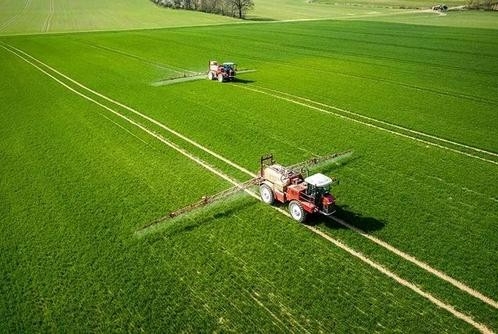 农村粮食补贴：2020年一亩地补多少钱