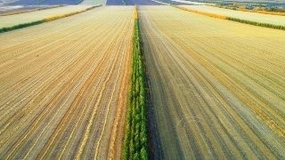 推动保护性耕作高质量发展