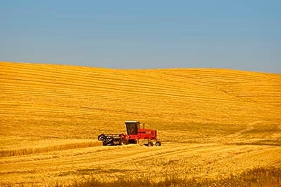 用科技守好粮仓相当于“绿色增产”