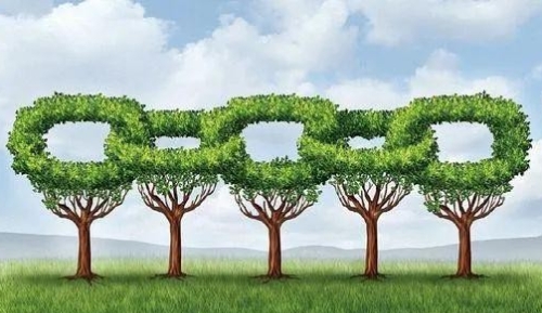 “十四五”将是绿色转型的关键期