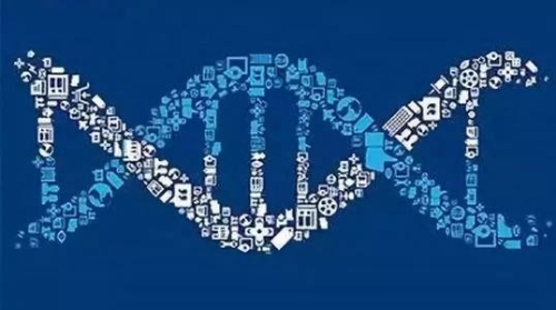 保产业链供应链稳定 畅通国民经济循环（权威访谈）