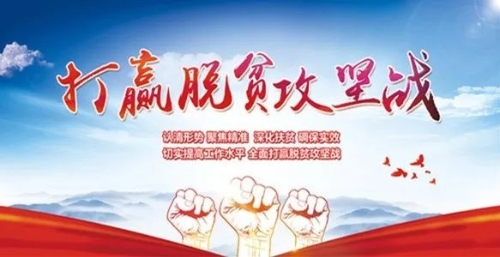 高质量打赢脱贫攻坚战（政策解读·聚焦中央一号文件①）