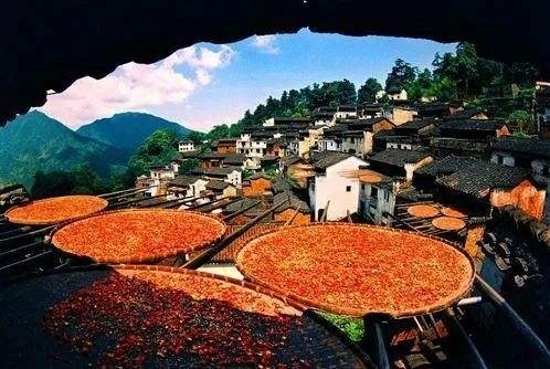 新华网评：有一种乡村振兴，叫留住乡愁