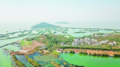 光明日报刊文：长三角地区如何带好绿色发展的头