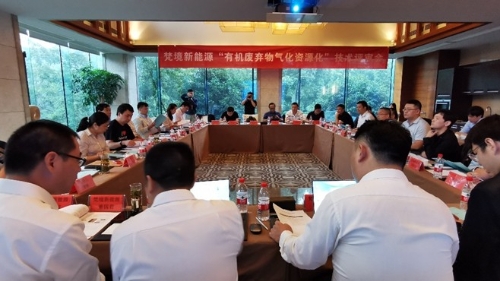 有机废弃物气化资源化利用技术国际先进