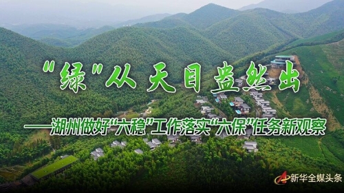 “绿”从天目盎然出——湖州做好“六稳”工作落实“六保”任务新观察