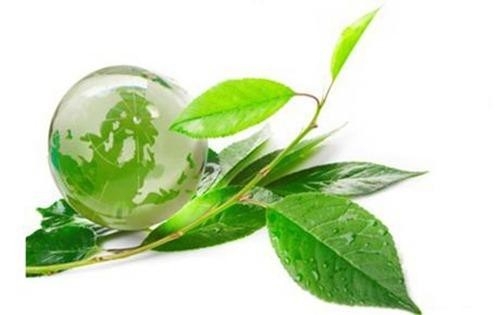 专家：中国推动全社会加速向绿色低碳转型