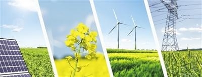 石油贸易商积极布局绿色产业