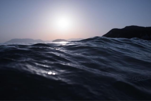 钟宝申：光伏将有效助推全球绿色可持续发展