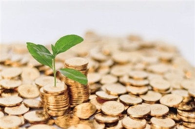 完善长三角绿色金融激励机制需直面挑战