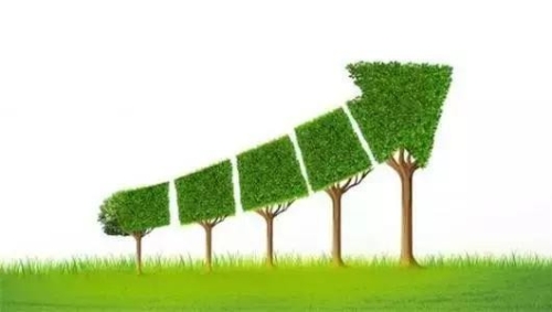 聚焦绿色发展和绿色生活 ——广东清远第二届生态文化建设研讨会召开