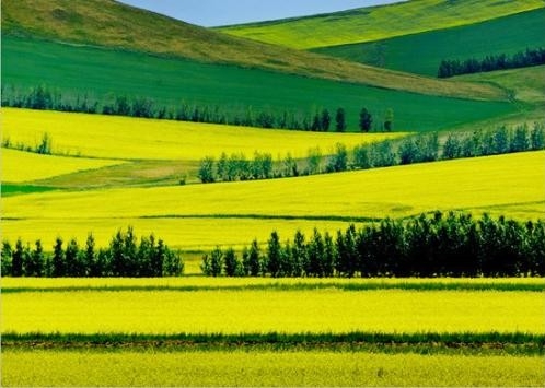 水清岸绿展新颜（产经观察）