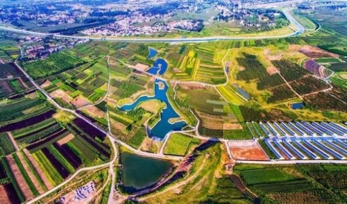 全面绿色转型，实现人与自然和谐共生的现代化