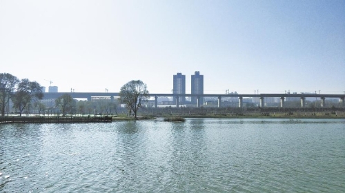 【五中全会精神在基层】“绿色”绘出美好生活