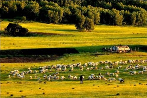 蒙草生态推进绿色矿山建设 守护锡林郭勒青山绿水