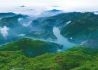 “硅谷大道”春意浓——绿色发展的南山实践