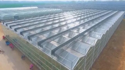 发展现代农业产业，助力乡村振兴