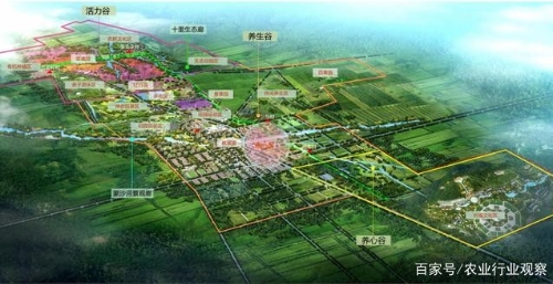 扎根农业 服务三农，农湾科技创新打造农文旅融合发展模式