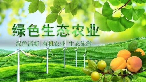 重庆立足山地特色 振兴乡村产业
