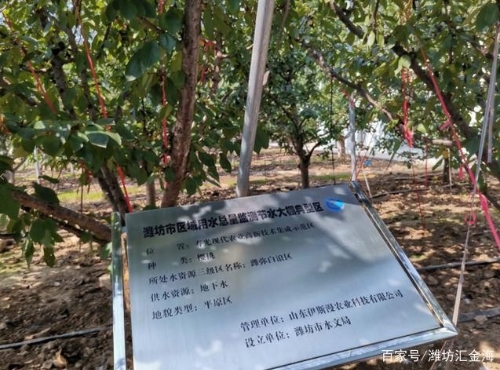 汇金海智慧农业助力“蔬菜之乡”寿光节水大棚典型区建设