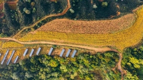 加快农场转型升级，数智化全面推进现代农场建设