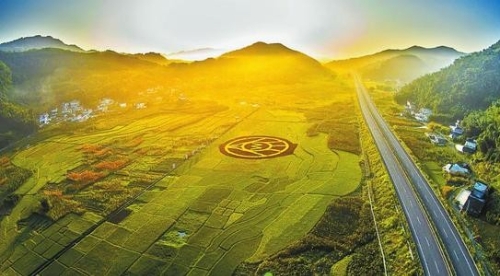 生态保护和脱贫增收实现双赢（权威发布）