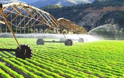 中国与中亚农业合作稳步推进（国际视点）