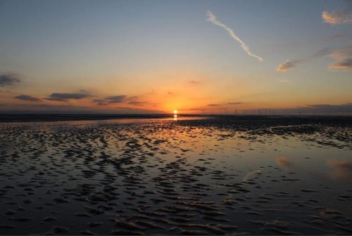 “十四五”能源电力转型发展论坛在粤举行，8份报告聚焦碳减排——南方五省区电力转型优势明显