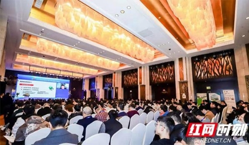 2020湖南省建设科技与绿色建筑行业峰会开幕