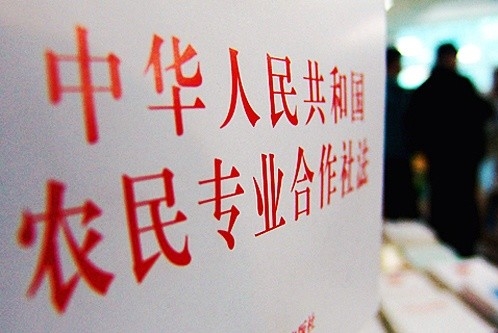 为什么要加快培育农民合作社、家庭农场等新型农业经营主体？