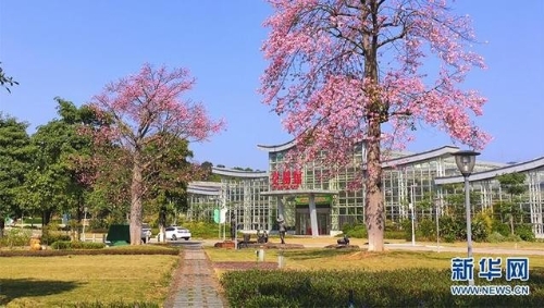 数字农业 智引未来——写在2020世界数字农业大会举行之际