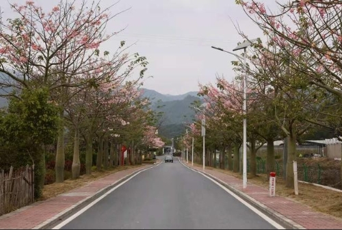 解开“贫困村”变身“风景区”的“绿色密码”