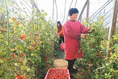 绿色发展