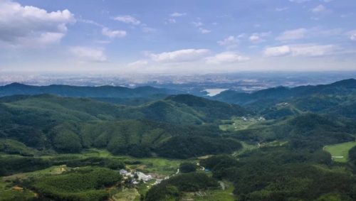 领跑绿色发展 绘就生态蓝图——市委十一届十一次全会报告解读之八