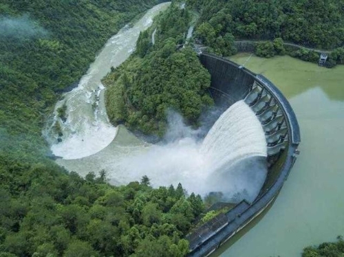 占比超全国总数的三分之一 它们如何成为“绿色担当”？