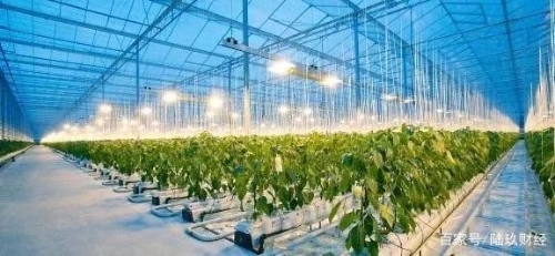 AI和农民，到底谁更会种地