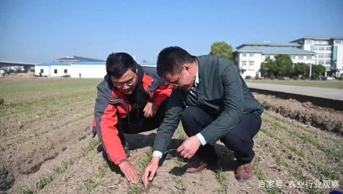 报告：90%有机农场处于亏损状态；极飞科技或将寻求科创板上市